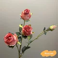4 heads rose red