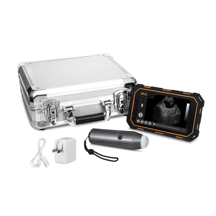 

Full digital beam forming portable veterinary ultrasound veterinary scanner tools and equipment