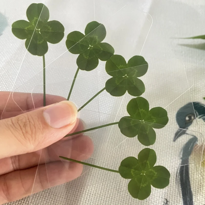 Clover postcard 15Pcs Lucky Simulation Four-Leaf Clover Postcards Shamrock Stems Transparent Wishing Cards Bookmarks & Decorations