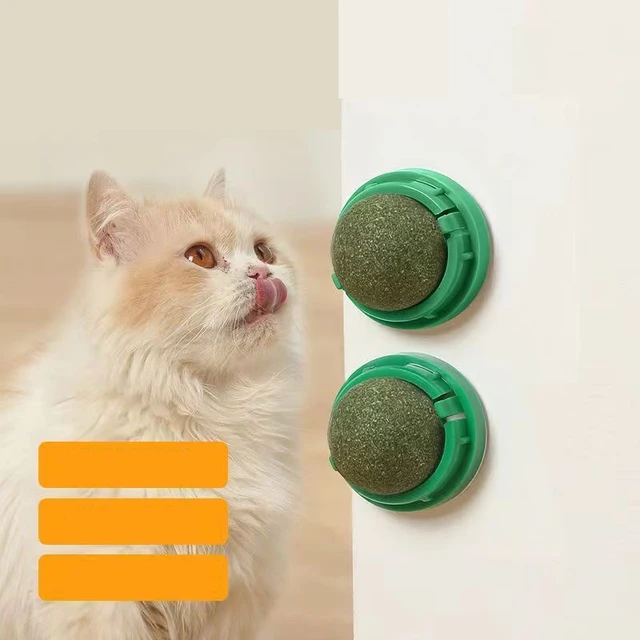Cat Catnip Stick-on Wall Ball 2