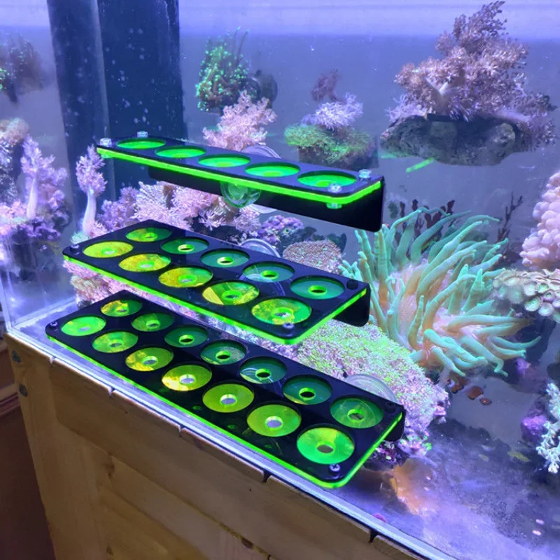 Fish Tank Ornaments Fish Tank Decorations Aquarium Ornaments Fish Tank Fluorescent Coral Frag Bracket Coral Growing Holder Acrylic Rack Marine Reef Stand Aquarium Accessories