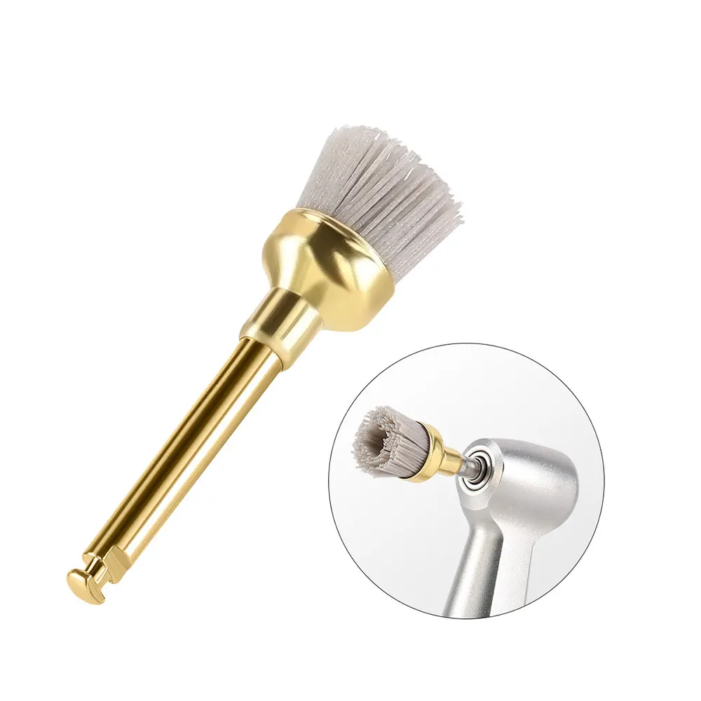 AZDENT 10 teile/schachtel Dental Polieren Pinsel Siliziumkarbid Pinsel Aluminiumoxid Polierer CA 2,35mm Fit für Contra Winkel handstück – Detail 7