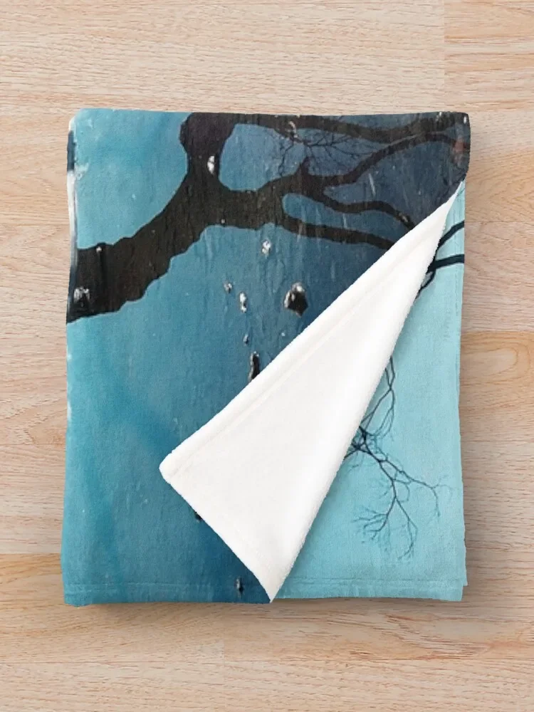 �ͳ�ī ���� ������ ���, ���� �̺�, ������ �ܿ� ���� ���