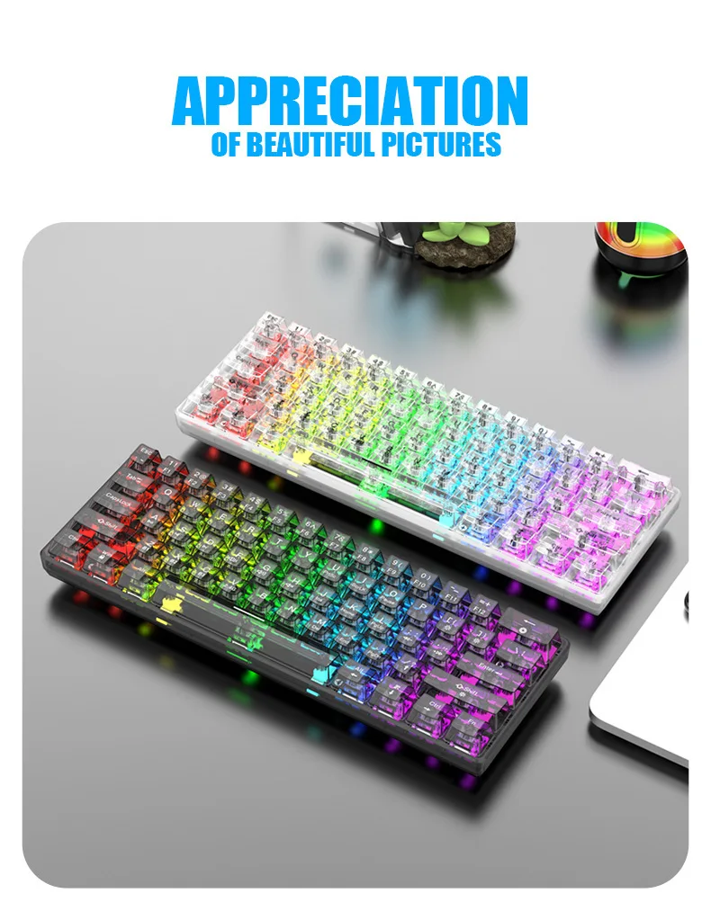 XUNSVFOX 무선 블루투스 트라이 모드 기계식 축 키보드, 투명 케이스, RGB 게이밍 맞춤형 키보드