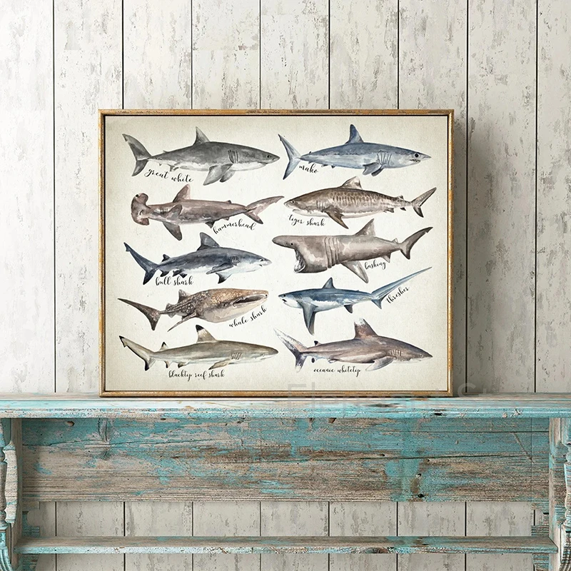

Watercolor Whales Size Comparison Chart Print Whale Painting Child Educational Poster Nursery Wall Art Pictures Kids Room Decor