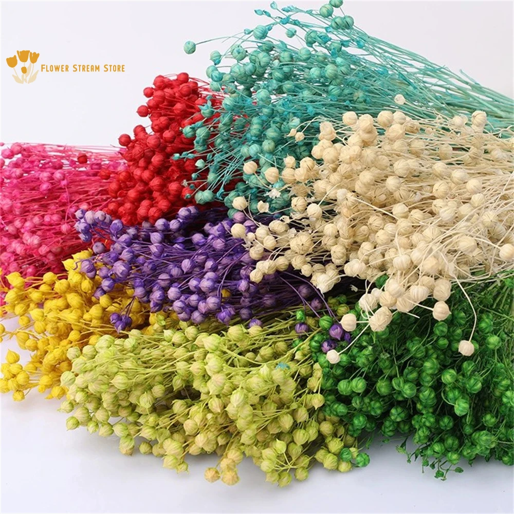 

50g Natural Dried Acacia Bean Preserved Flower Bouquet for Garden Wedding Decoration Eternal Real Dry Plant Valentine's Day Gift