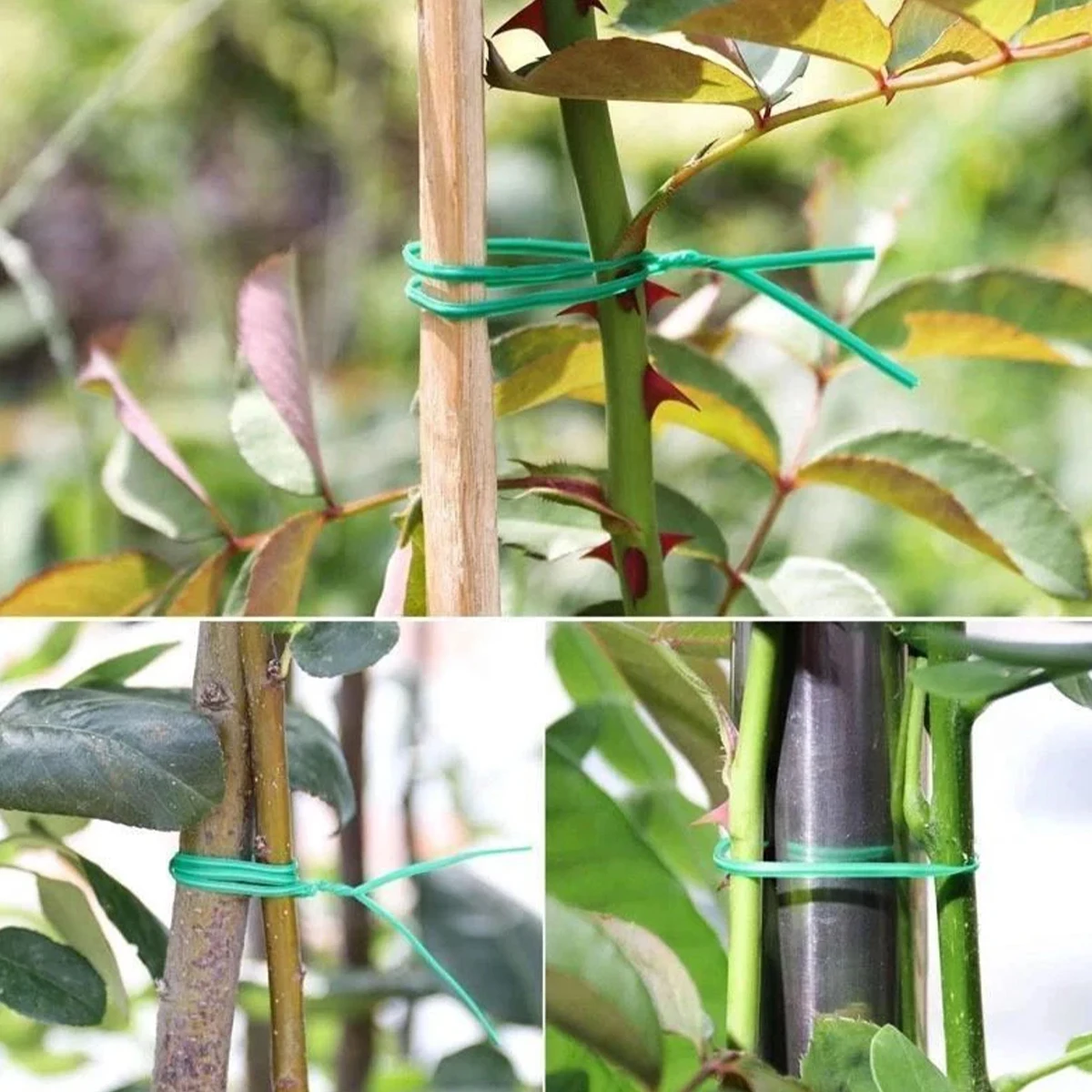 Bamboo Green Plant Support Sticks for Climbing Vines and Flowers