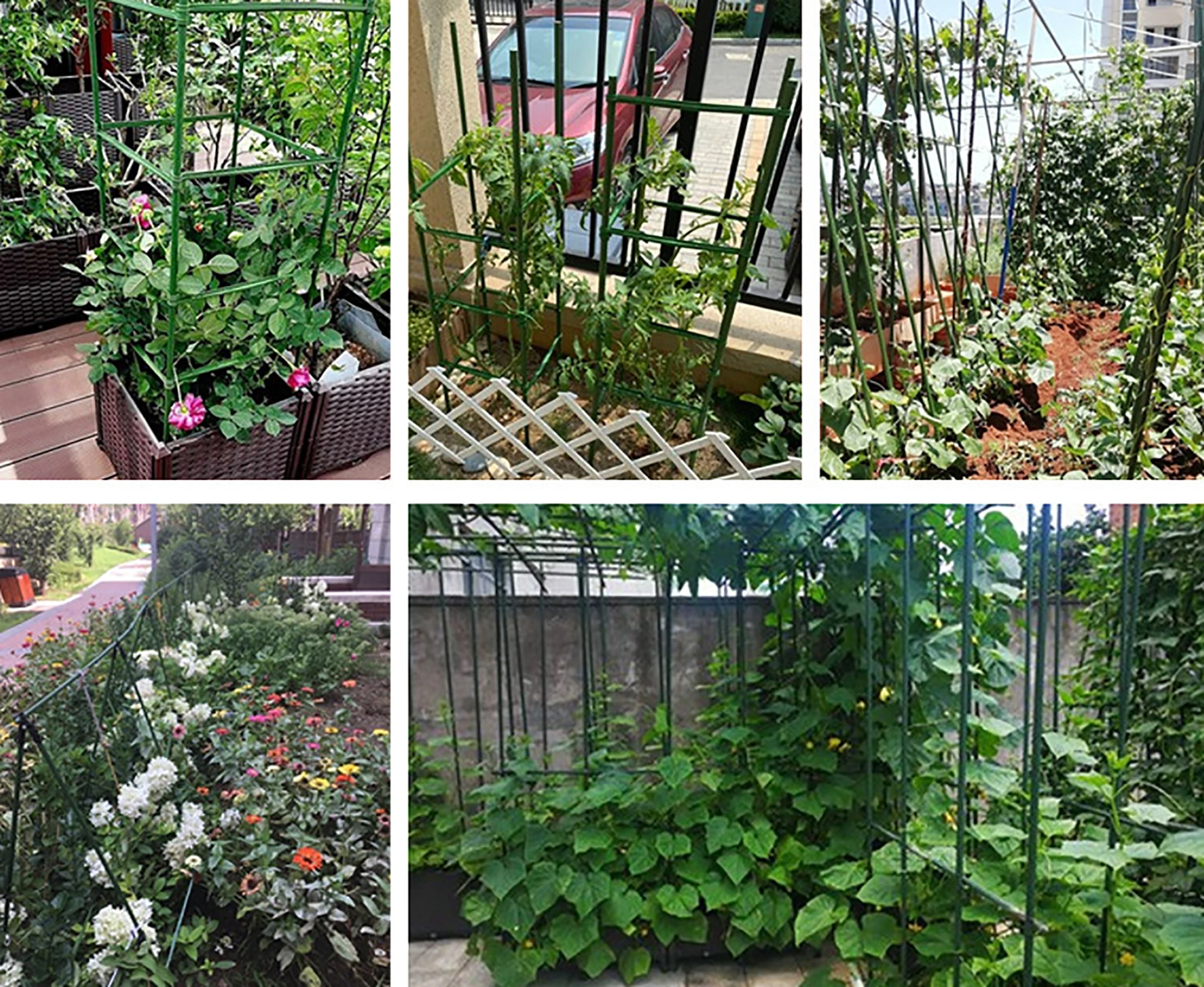 Plant support Greenhouse Gardening pillar Plastic coated steel pipe Climbing vine bracket Agriculture tools Flower support 6 Pcs