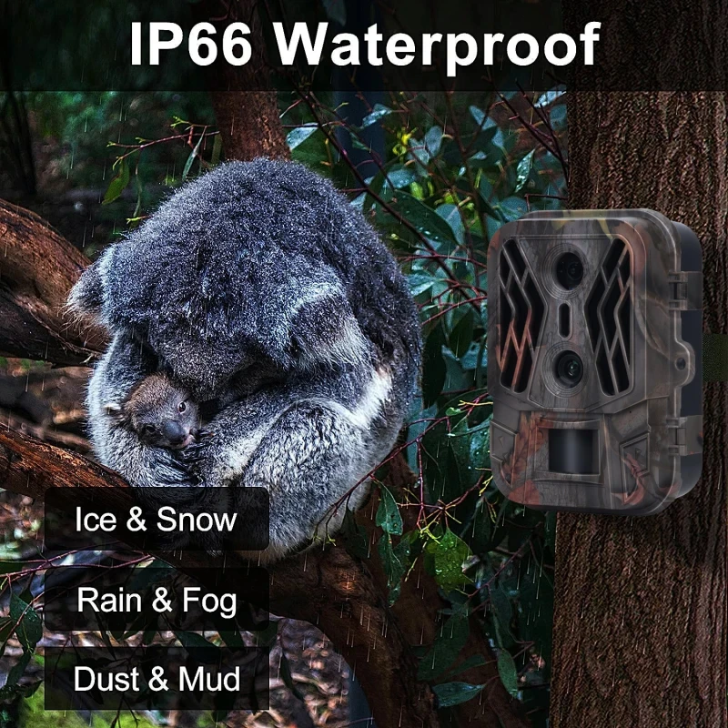 Suntek HC950A-Li Hunting Camera With 8000Mah Lithium Battery HD 4K 50MPNight Vision Dual Lens Infrared Sensing Waterproof IP65