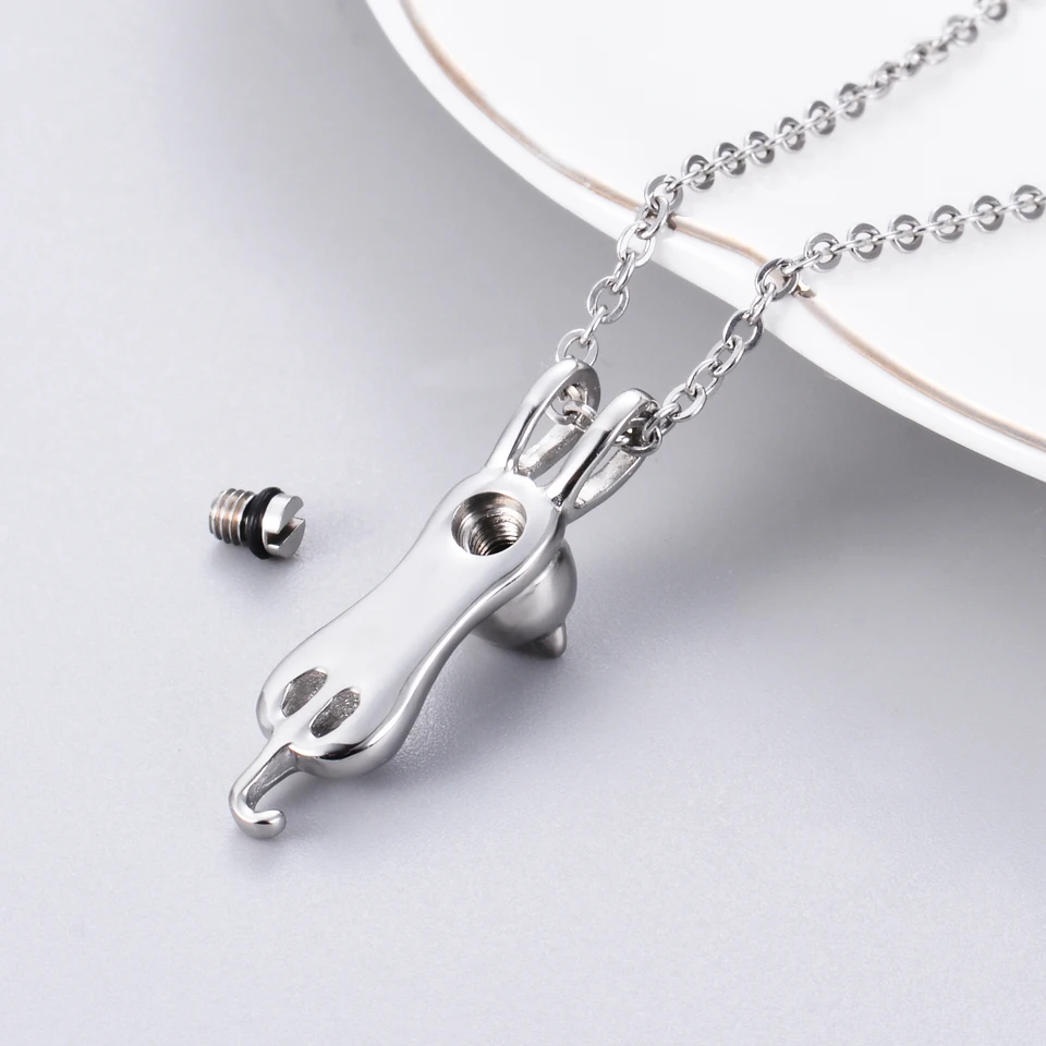 Bijoux de crémation coccinelle urne collier pour cendres Transparent rond verre