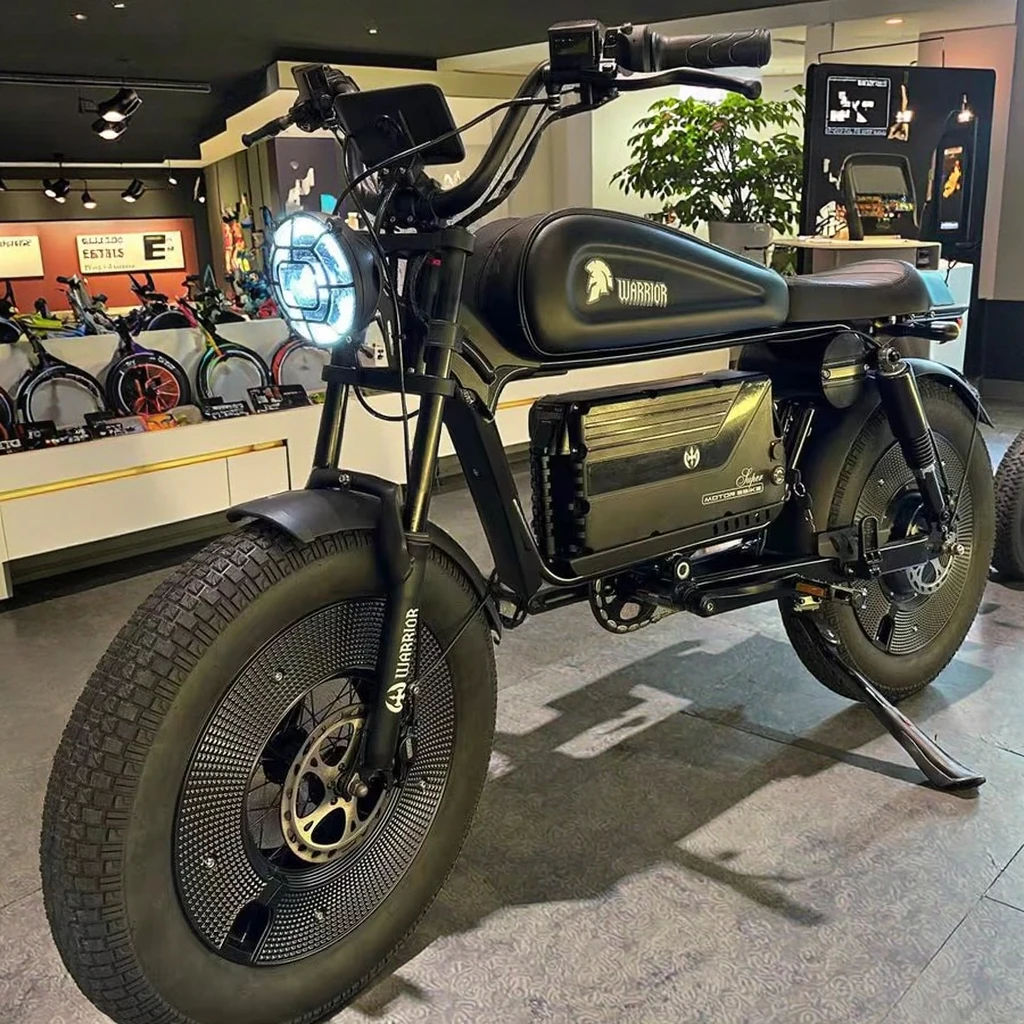 US Warehouse Electric Bike 30A 60AH Lithium Battery Fat Tire Mountain E Bike for Adultcustom