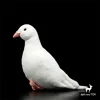 Peace Dove Toy High Fidelity Pigeon Plushie White Pigeon Peluche Lifelike Stuffed Animals Simulation Doll Kawai Toy Gifts Kids 3