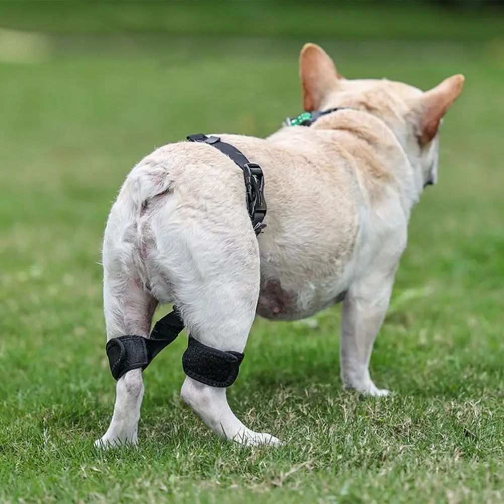 Dog Rear Leg Bracer Support Bandages Knee Brace Pet Puppy Injuries Leg Knee Brace Strap Back Leg Support Knee Support Sleeve
