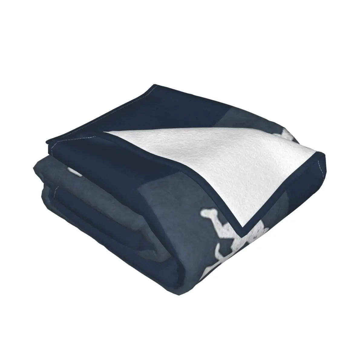 �ʵ� ��Ű ��� ħ�뺸 ħ�� ��Ʈ, ���� ħ��