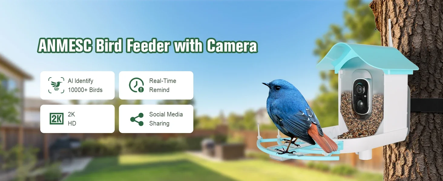 Bird Feeder
