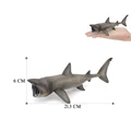 Basking Shark