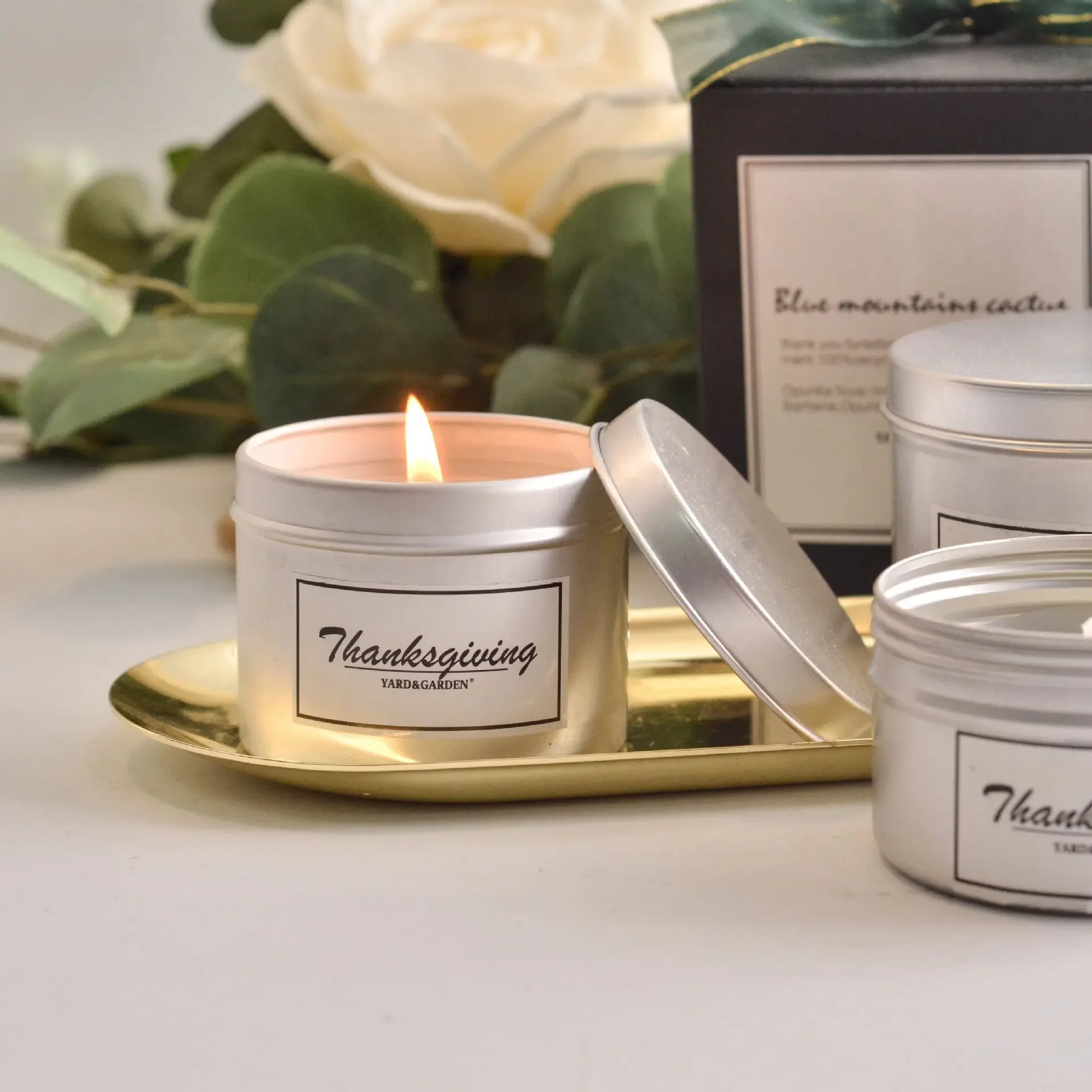 16Pcs 100ML Aluminum Storage Jar Tin Empty Metal Cream Lip Balm Container With Lid Bulk Pot Silver Can storage can
