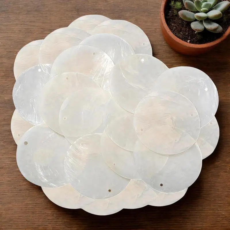 Natural Round Seashells With Holes For Crafting