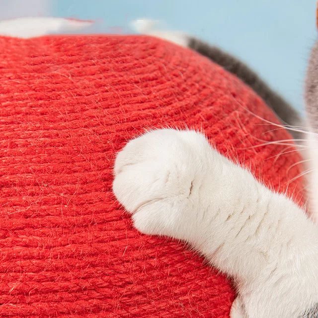 고양이 긁는 공 장난감은 고양이를 보호하고 즐거움을 선사합니다.