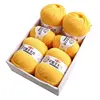 100G Hand Knitted Wool Yarn Soft and Thick Knitting Wool Yarn Skeins, Ideal for Scarf and Sweater Making knitting Yarn wholesale 5
