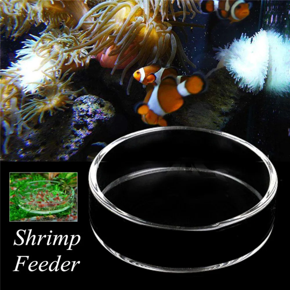 Clear Glass Shrimp Feeding Food Dish Feeder Tray Round Container
