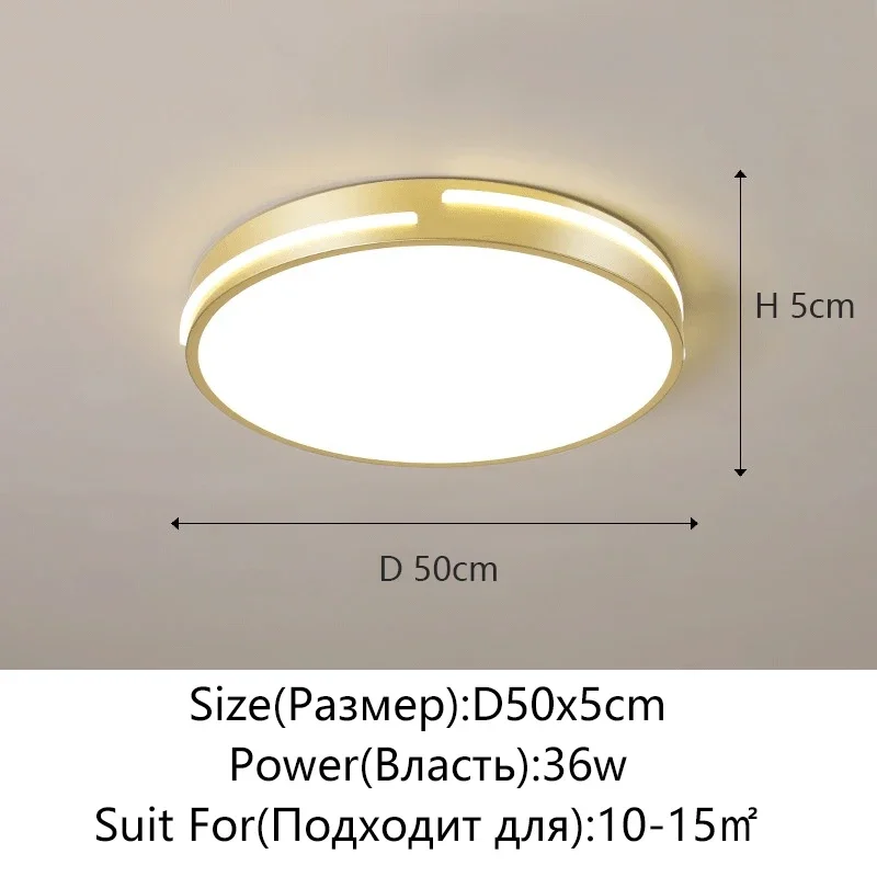 D 50cm