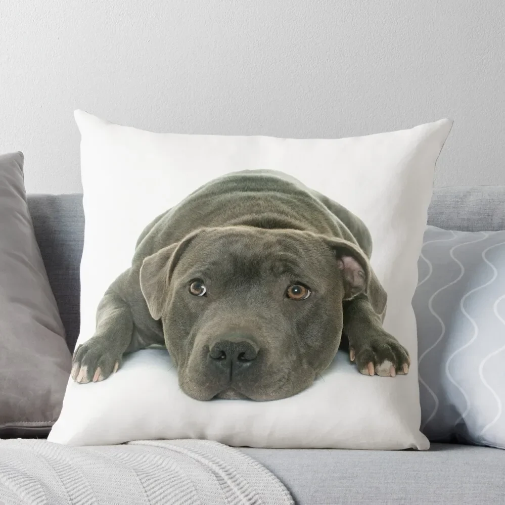 

Blue Staffordshire Bull Terrier Super Cute Puppy Eyes Throw Pillow Room decorating items Christmas Cushion For Home Pillow Decor