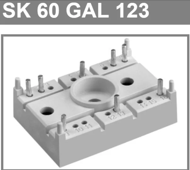 

SK60GAL123 IGBT MODULE SK 60GAL123 60A 1200V SK60GAL 123 SK60GA L123 SK60G AL123 SK60 GAL123