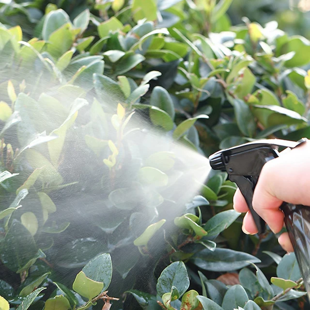 600ml Sprayer Bottle Plant Flower Watering Cans Manual Mist Water Spray Pot Household Garden Watering Irrigation Tools 1pc 4