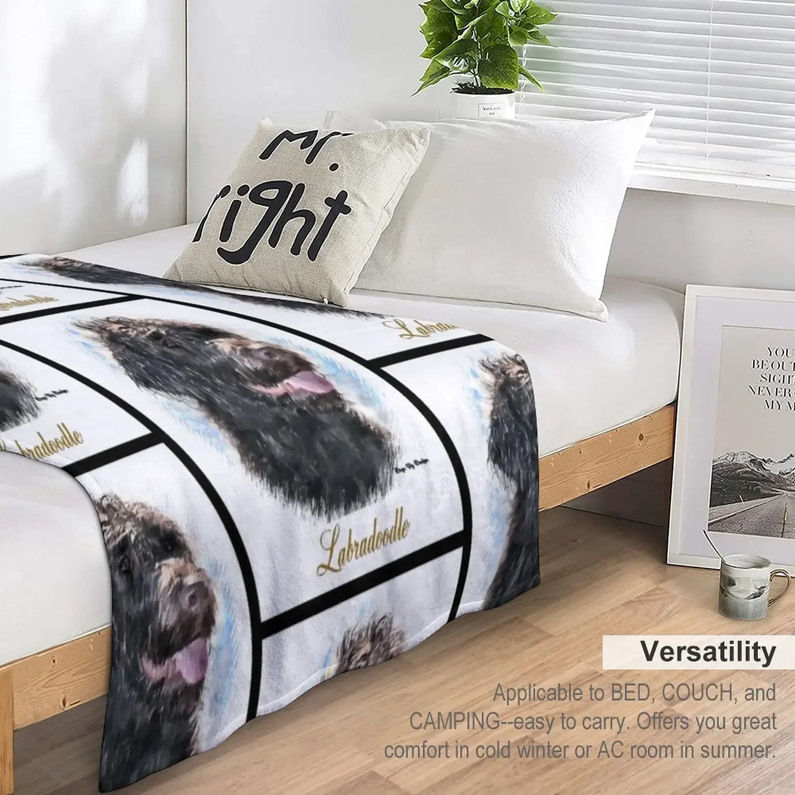 �����ε� ��ȣ�� ���� ���� ������ ���, ���Ÿ� ���� �ö��� ���� ���