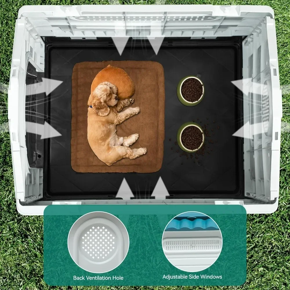 Casinha de Cachorro para Apartamento: A Escolha Ideal Para Pequenos e  Médios Porte?, image size:1000x1000