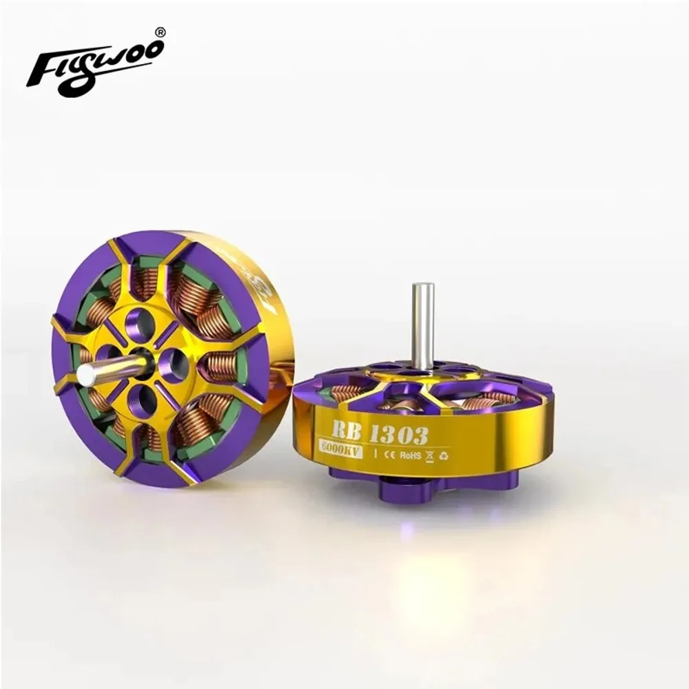 Détail du stator et des aimants du moteur FLYWOO RB 1303 6,1g pour drone de course