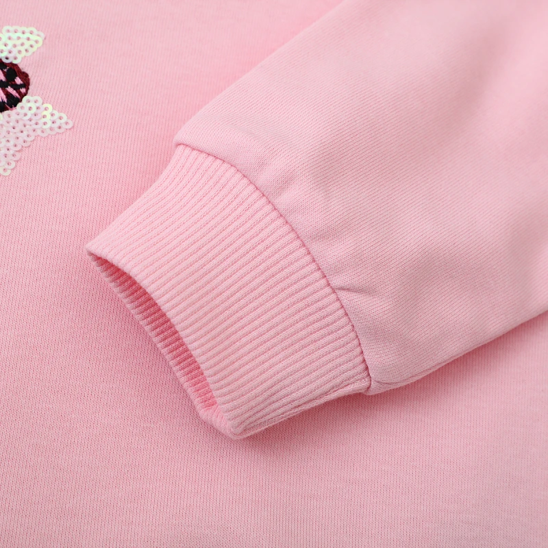 Kids Clothes Baby Girls 2025 Autumn Spring New Pink Sweatshirts Embroidered Flowers Long Sleeve Sweatshirt