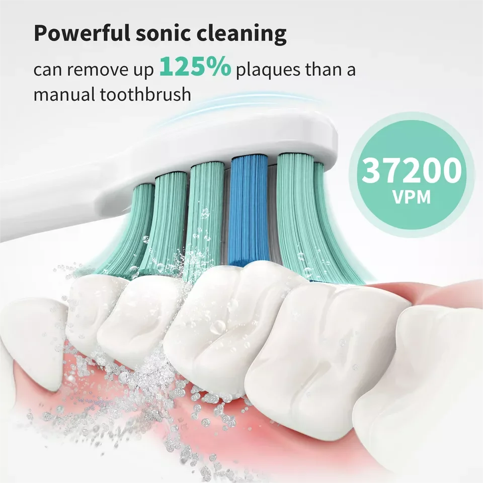 Sonic Expert Clean Electric Toothbrush Rechargeable High Power Vibration 12 Brush Heads 5 Modes electric toothbrush