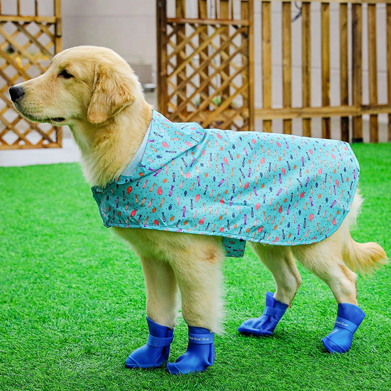 Chubasquero impermeable para perros, abrigo impermeable caminar, Golden Retriever, con capucha, capa de pastoreo Labrador| | - AliExpress