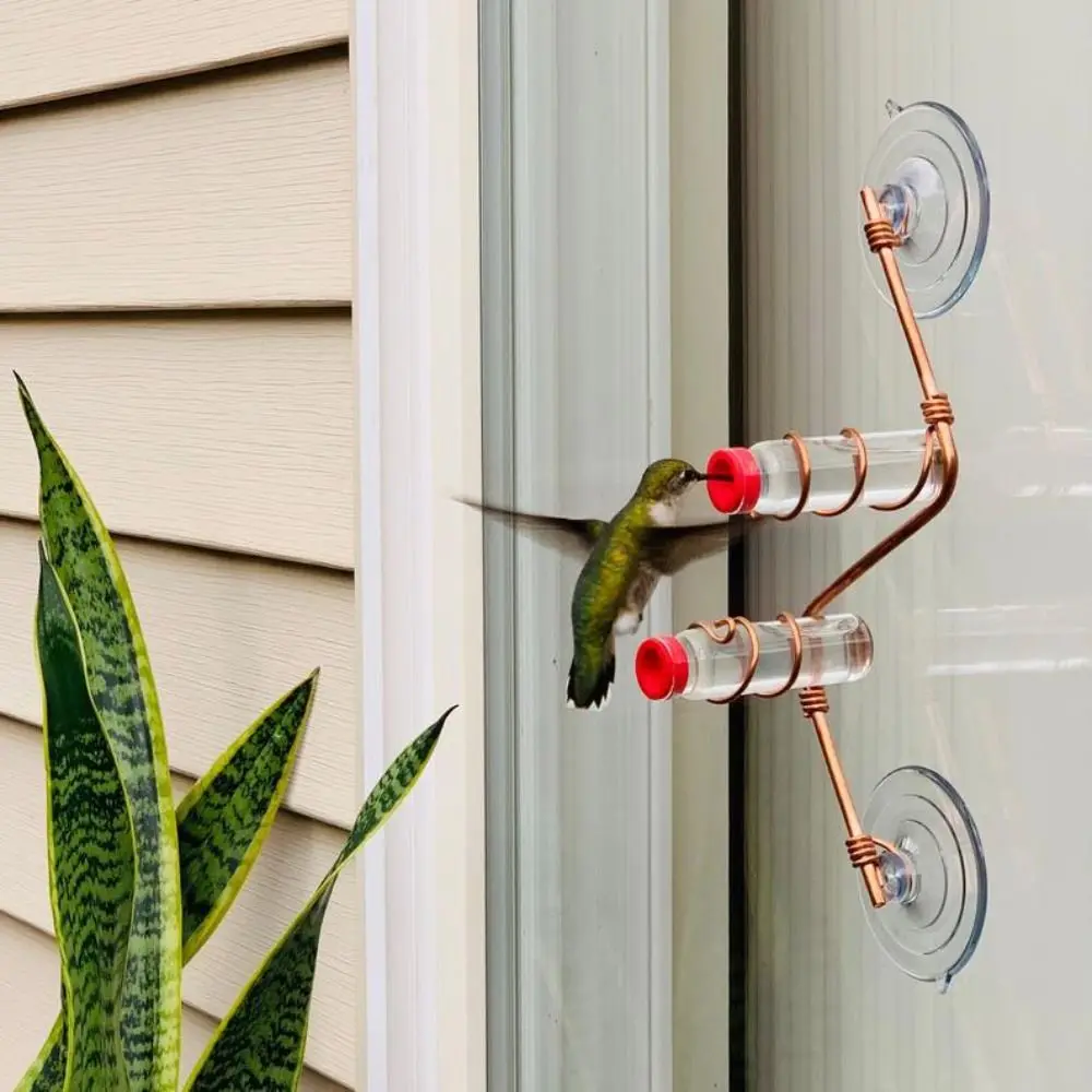 Creative Window Glass Decoration Suction Cup Bird Feeder Hummingbird Feeder Sweet Feeders bird feeder pet water feeder