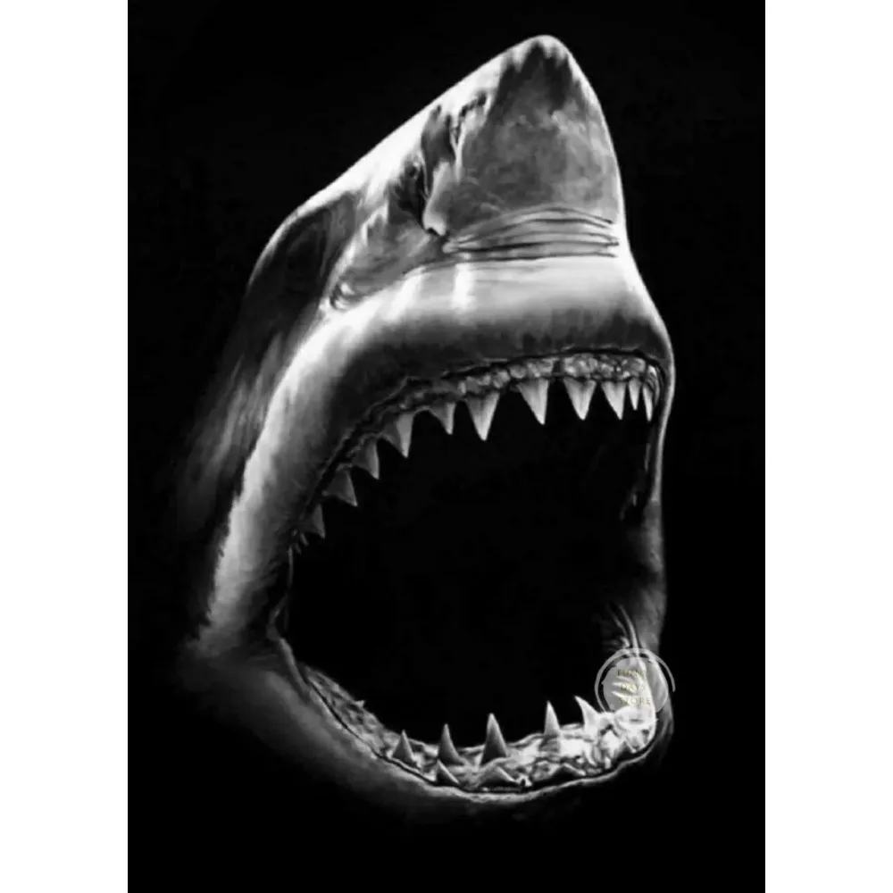 Great White Shark Ocean Giants Canvas Art - Nature Wall Decor Poster