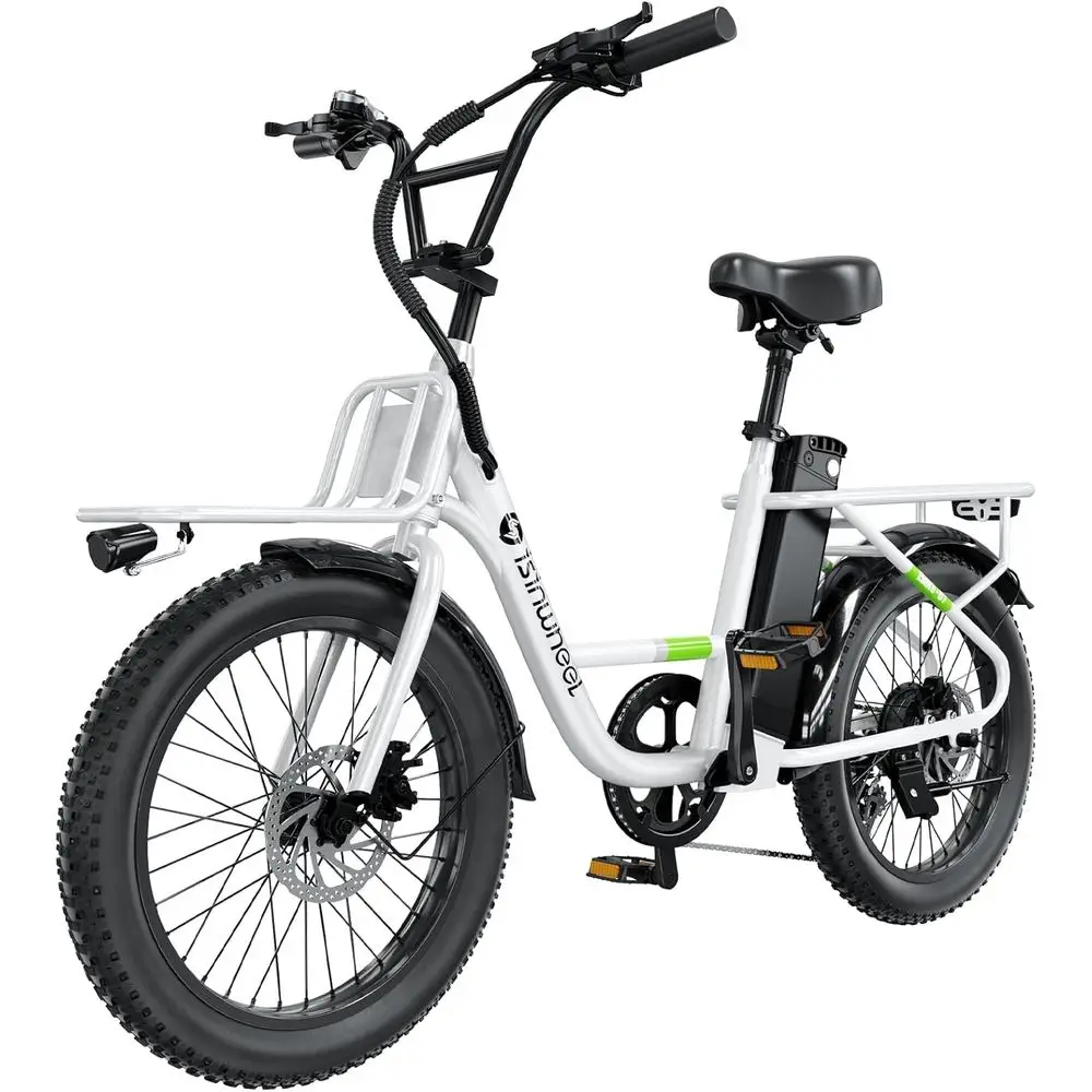 Cargo Cruiser Electric Bike 1