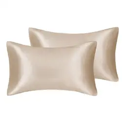Set of 2 Silky Satin Pillowcases - Queen Size, Hair and Skin Care Pillow Covers for Home, Hotel, and Travel (Champagne)
