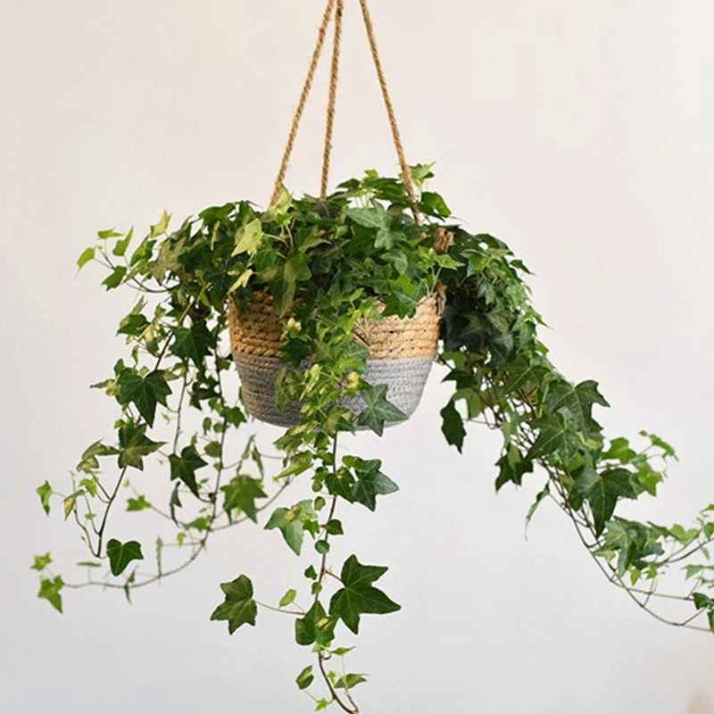 Stylish Plant Hanger