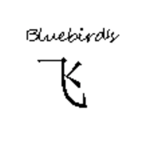 Bluebird Store