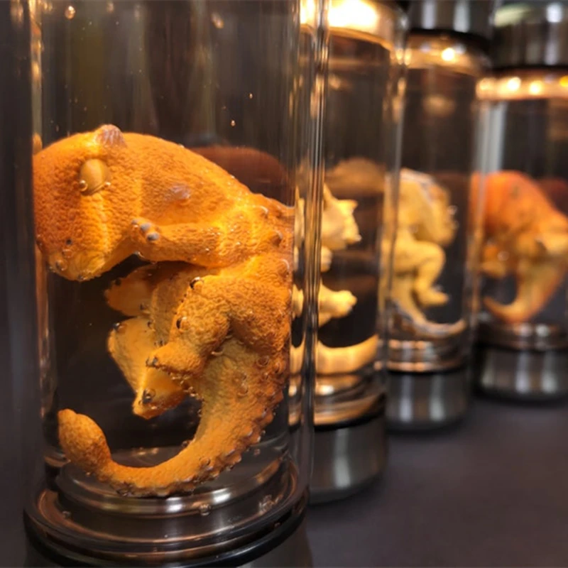 Jurassic Park Dinosaur Embrane Glow Jar Jurassic World Velociraptor Blue Embrion Jar Movie Prop Replica