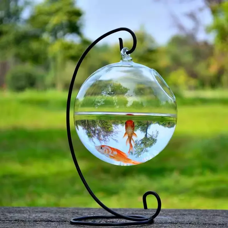 

Creative Clear Glass Ball Vase Micro Landscape Air Plant Terrarium Succulent Hanging Flowerpot Container Hot sale