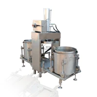 Ginger  Fruit  Paineple  Cold Press Juice  Machine  Hydraulic Juice   Extractor Equipment  Stainless Steel Professional Commerci 2