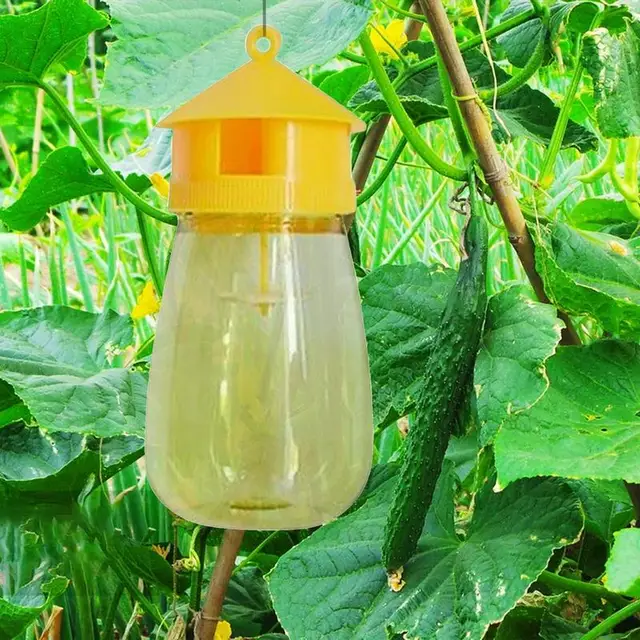 Fly Csapda Újrahasznosítható Hornet A Kerti Teraszokhoz Időjárásálló Ács Disznók Fogók Stabil Pajta Legelőhöz - Image 4