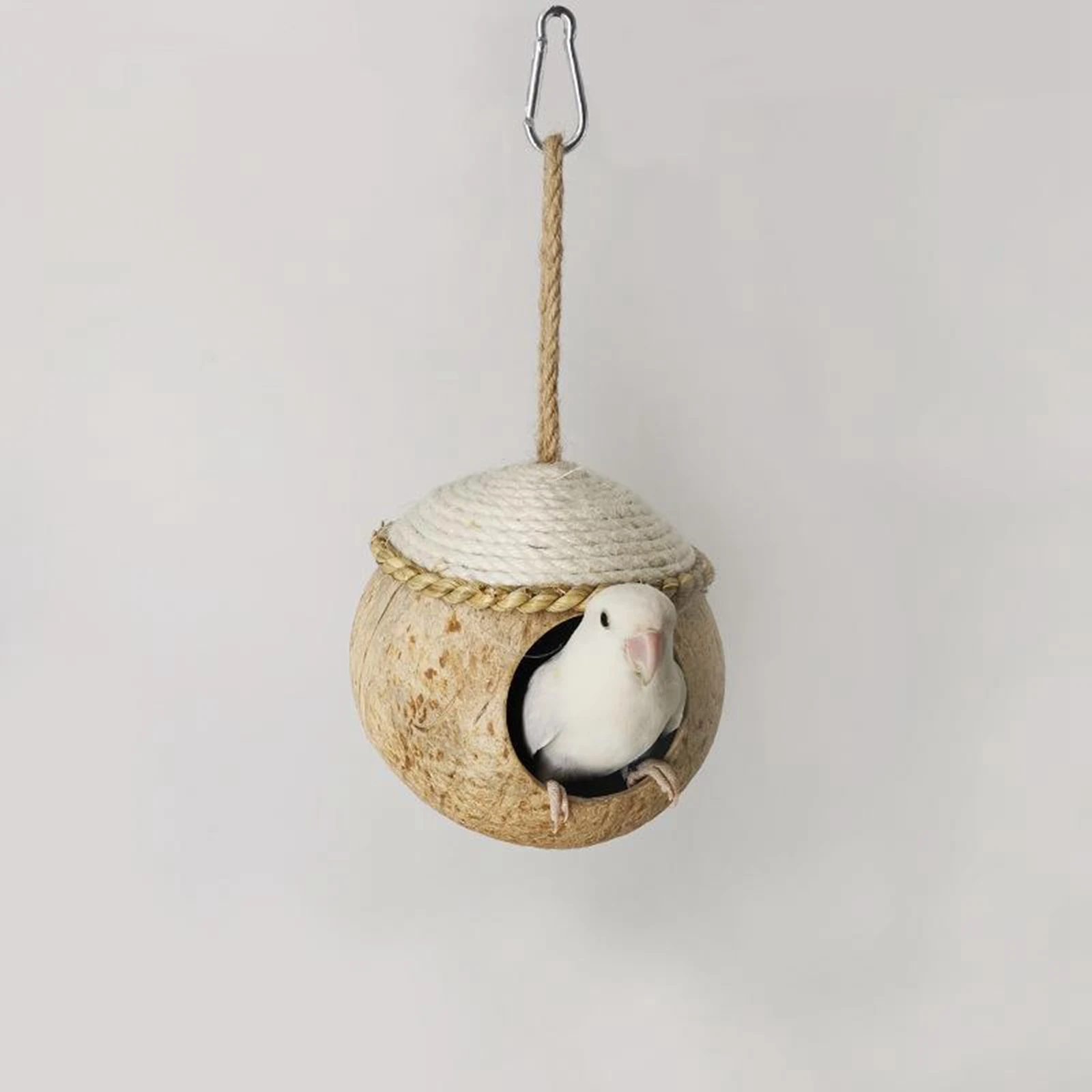 Title 1, Birds Nest Outside Humming Bird Nest Ornament D...
