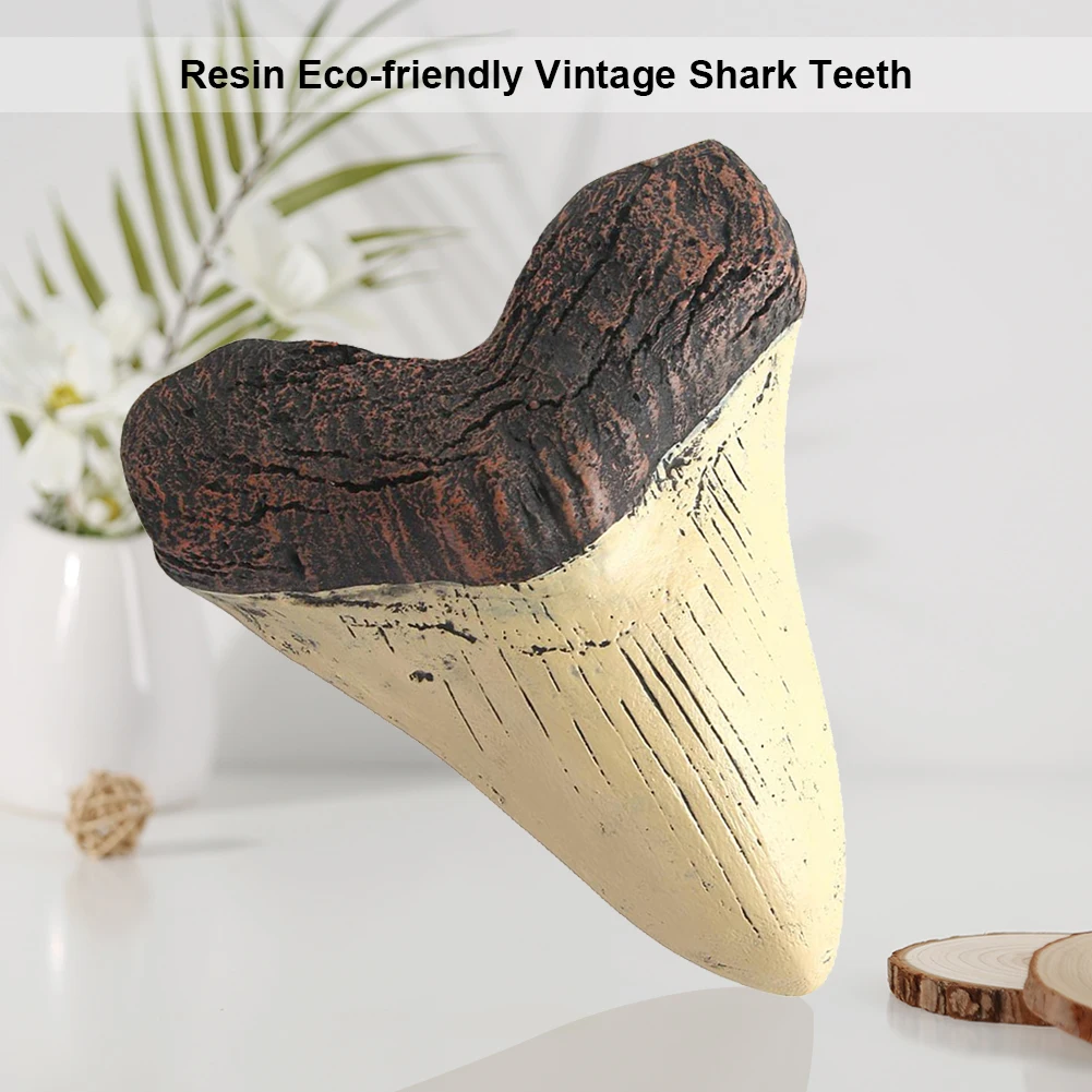 Home Decoration Resin Shark Teeth 5inch Giant Megalodon Tooth Marine Bology Teaching Props Beige Shark Teeth Fossil Best Gifts 6