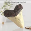 Home Decoration Resin Shark Teeth 5inch Giant Megalodon Tooth Marine Bology Teaching Props Beige Shark Teeth Fossil Best Gifts 6