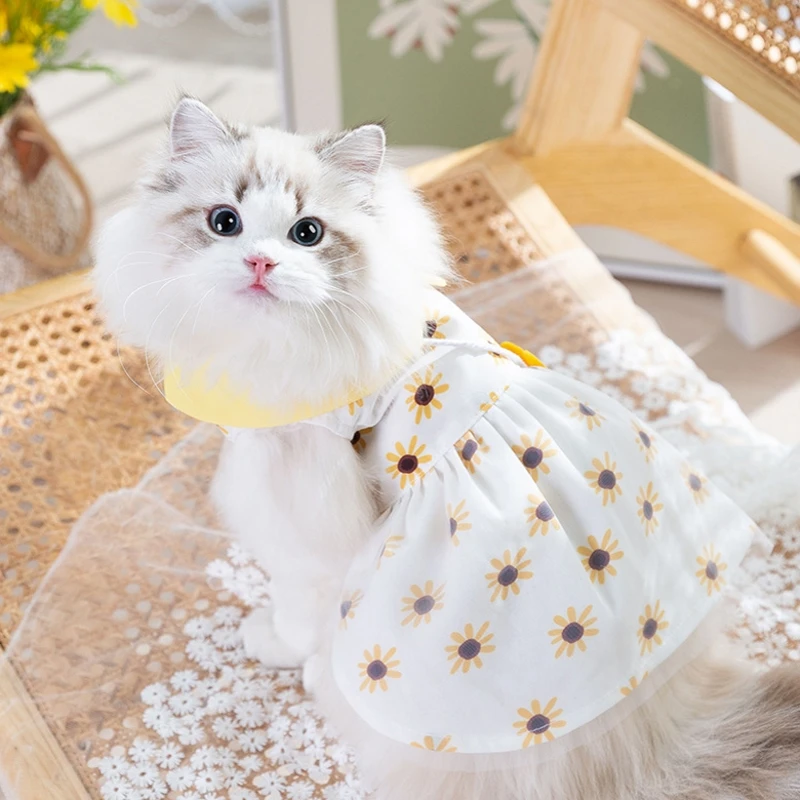 Dress Cute Summer Dog & Cat - PeticaDeals