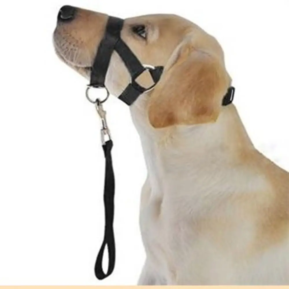 Adjustable Anti Barking Non Pull Dog Muzzle Dog Halter Leader Harness Dog Head Collar_voghion.com